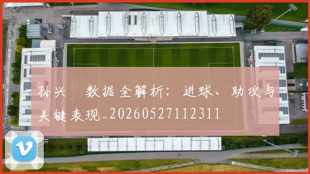 孙兴慜数据全解析：进球、助攻与关键表现_20260527112311