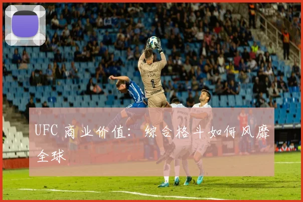 UFC 商业价值：综合格斗如何风靡全球